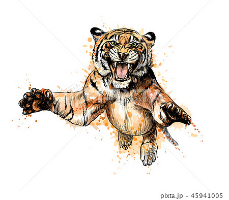 Portrait Of A Tiger Jumping From A Splash Of Stock Illustration