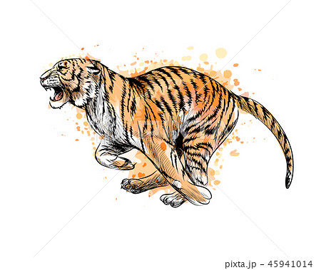 Tiger Running From A Splash Of Watercolor Hand のイラスト素材