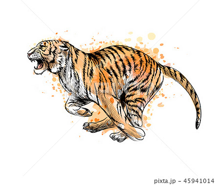 Tiger Running From A Splash Of Watercolor Hand Stock Illustration