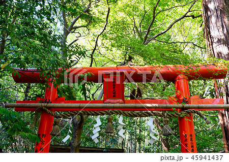野宮神社 白福稲荷大明神(京都) 野宮神社 白福稲荷大明神(京都) 45941437