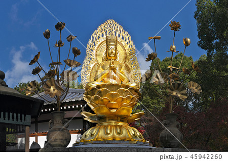 【久米寺 大日如来】 (高解像度版) 奈良県橿原市久米町 【久米寺 大日如来】 (高解像度版) 奈良県橿原市久米町 45942260