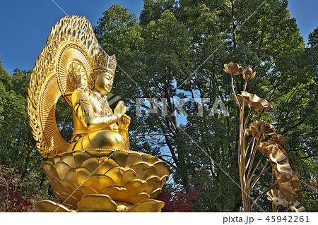 【久米寺 大日如来】 奈良県橿原市久米町 45942261
