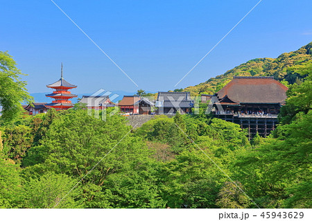 新緑の清水の舞台 45943629