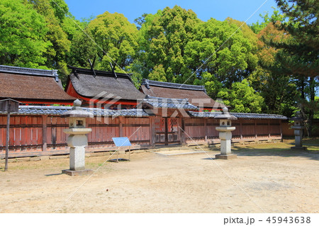 万緑の九所明神（仁和寺） 45943638