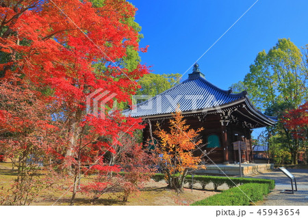 紅葉の仁和寺 経蔵 紅葉の仁和寺 経蔵 45943654