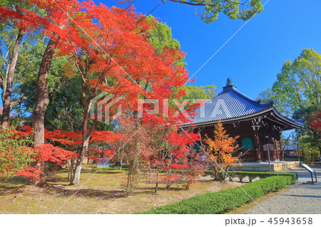 紅葉の仁和寺　経蔵 45943658