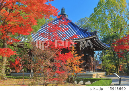 紅葉の仁和寺　経蔵 45943660