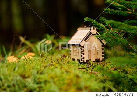 Wooden house model in the forest. concept 45944272