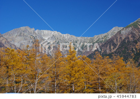 秋の上高地(色付く落葉松と穂高連峰) 秋の上高地(色付く落葉松と穂高連峰) 45944783