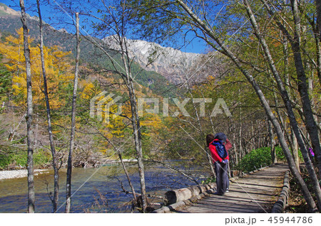 秋の上高地（梓川沿いの風景） 45944786