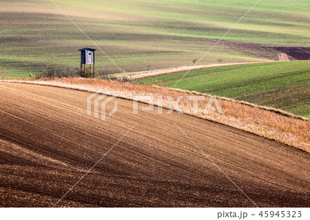 Minimalistic landscape Minimalistic landscape 45945323