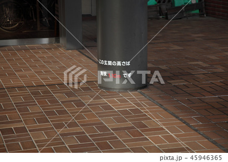 伊勢湾台風の記憶 45946365