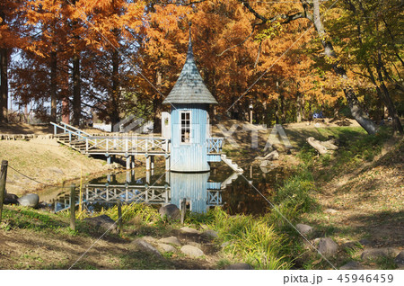紅葉のあけぼの子ども公園　青い建物 45946459