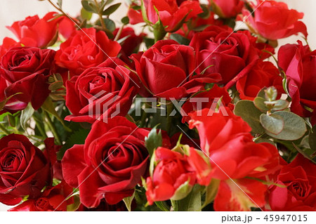 赤い　バラ　いっぱい　マクロレンズ 45947015