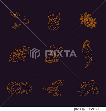 Spices set, contour icons 45947139