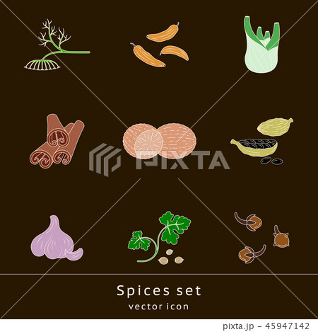 Spices set of colored icons 45947142