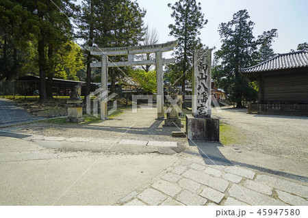東大寺 手向山八幡宮 東大寺 手向山八幡宮 45947580