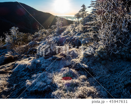 初冬の網笠山 45947631