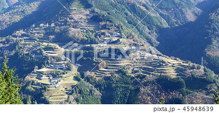 仙人の棚田 45948639