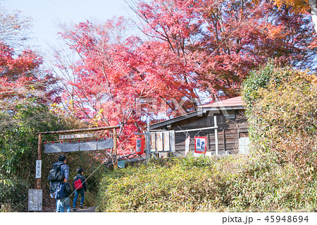 高尾山から小仏城山への登山道　もみじ台の茶屋（細田屋）と紅葉 45948694