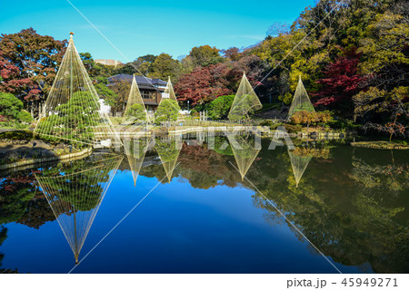 肥後細川庭園 肥後細川庭園 45949271