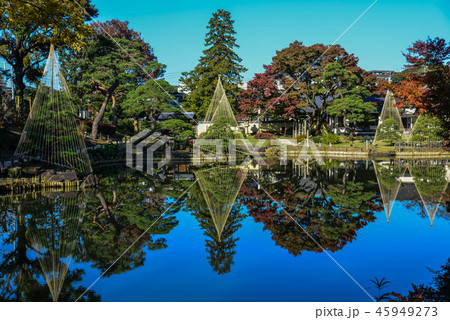 肥後細川庭園 肥後細川庭園 45949273