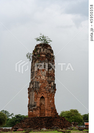タイ・アユタヤ遺跡 ワット・ローカヤスターラームの仏塔 45950358