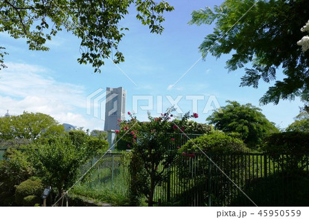 横浜近郊 45950559