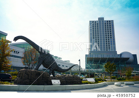 福井市風景　【福井駅前】 45950752