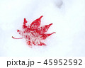 雪とモミジ 45952592