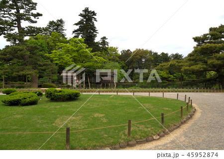 新緑の兼六園 新緑の兼六園 45952874