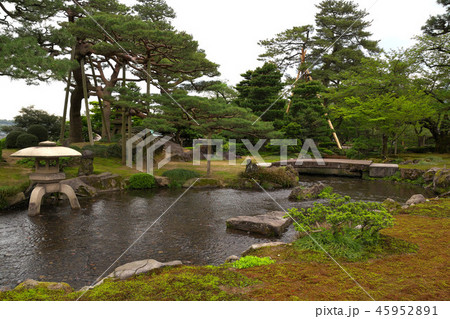 新緑の兼六園 新緑の兼六園 45952891