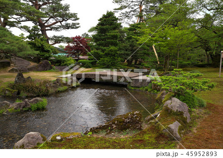 新緑の兼六園 新緑の兼六園 45952893
