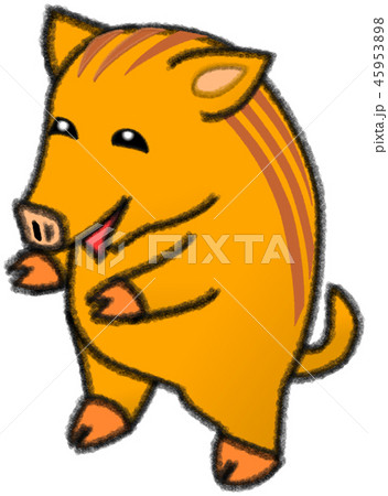 イノシシ うり坊のイラスト素材