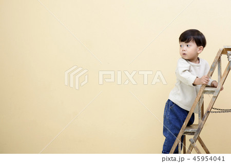子供 はしご 男 45954041