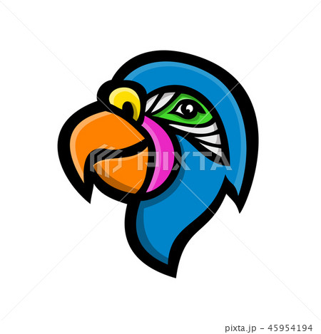 Parrot Head Mascot 45954194