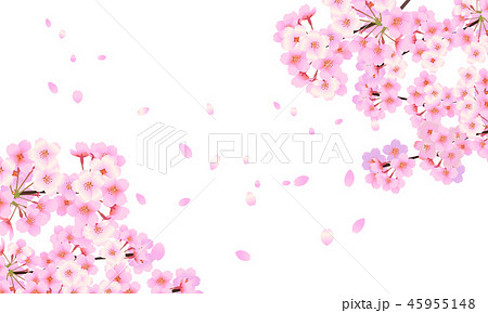 背景素材 桜 03のイラスト素材 45955148 Pixta