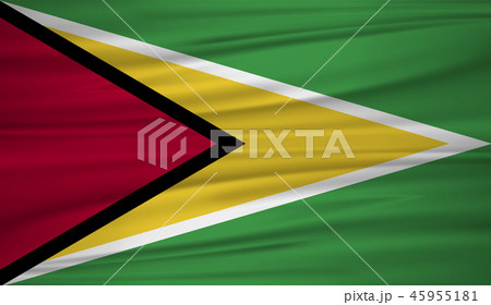 Guyana flag 45955181