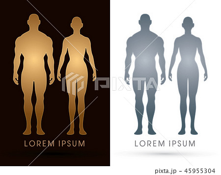 Male and female Anatomy, Human body, full body  45955304
