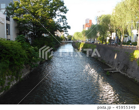 秋田県秋田市川反（かわばた） 45955349