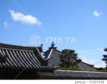 法隆寺 法隆寺 45955398