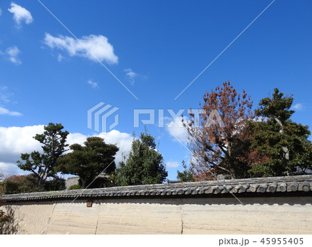 法隆寺 45955405