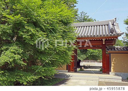 智清寺 45955878