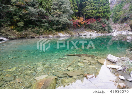 仁淀ブルー・安居渓谷・もみじ・紅葉・清流 45956070