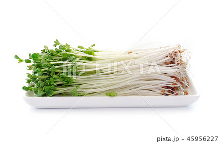 pea sprouts isolated on white background pea sprouts isolated on white background 45956227