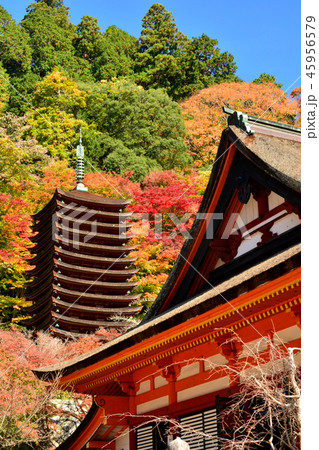 談山神社　十三重塔と末社惣社拝殿 45956579