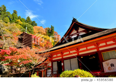 談山神社　十三重塔と末社惣社拝殿 45956580