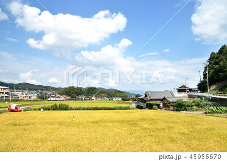 田園風景 45956670
