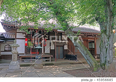 観明寺 観明寺 45956685