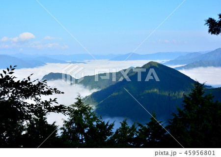 十津川村の雲海 十津川村の雲海 45956801